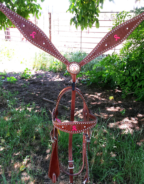 Breast Cancer Awareness Breast Collar Headstall Set